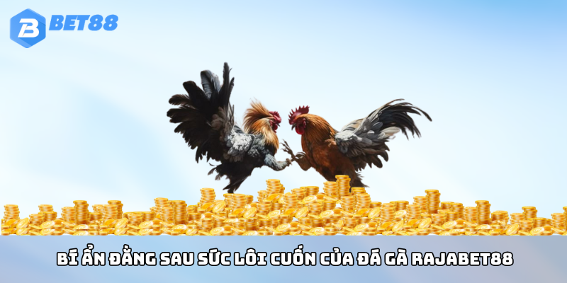 Chinh Phục Đá Gà BET88: Đấu Trường Kịch Tính Với Cơ Hội Thắng Thưởng Đỉnh Cao 2 Bí ẩn đằng sau sức lôi cuốn của đá gà BET88