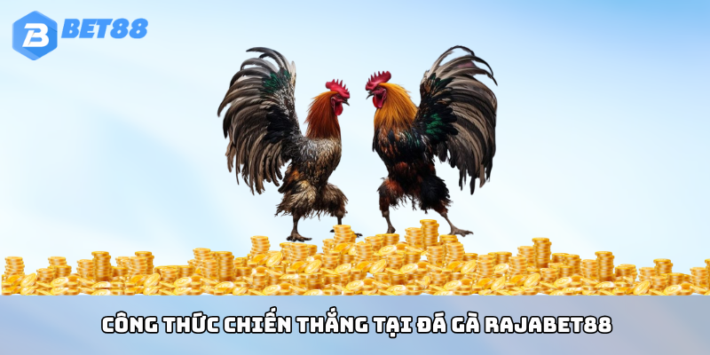 Chinh Phục Đá Gà BET88: Đấu Trường Kịch Tính Với Cơ Hội Thắng Thưởng Đỉnh Cao 4 Công thức chiến thắng tại đá gà BET88
